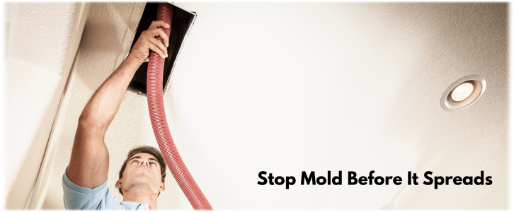 Air Duct Mold Removal in Cypress TX